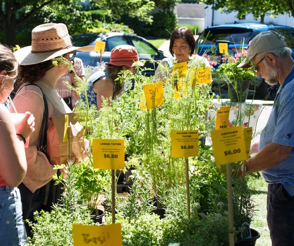 Hudson Farmers Market