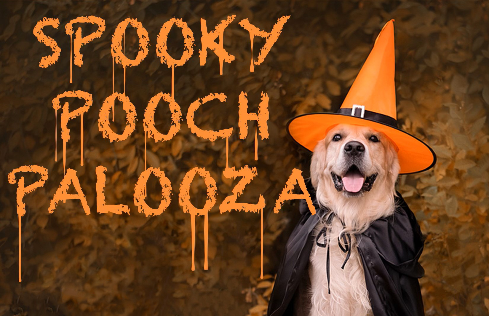 Spooky Pooch Palooza