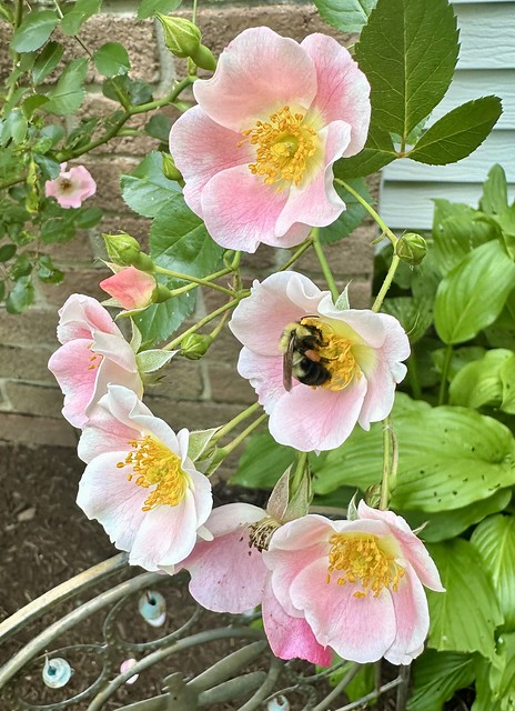 Hudson Home and Garden Tour