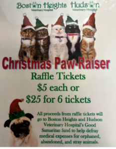 Hudson Vet Fundraiser